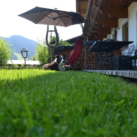 Pusteblume4 Apartman *